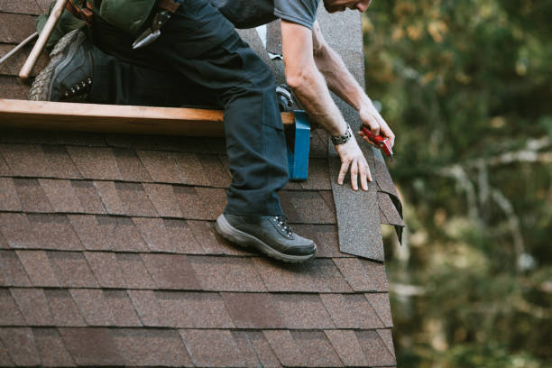 Best Gutter Installation and Roofing  in Runnemede, NJ